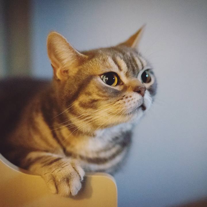 Efb625a0 b07c 4b76 9019 00d17ef58b58 1527979125100