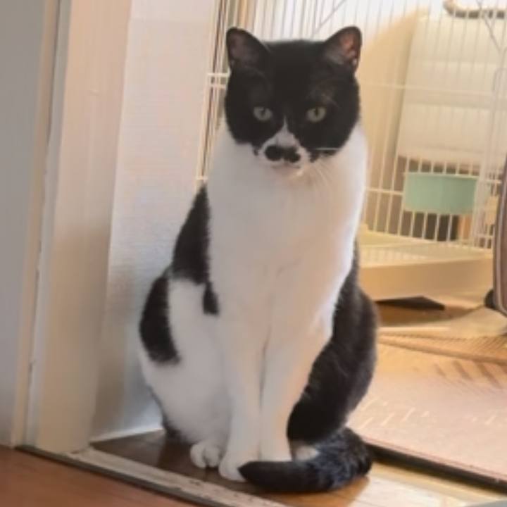 Efb62844 baeb 4148 b90a 1b4a7d8abfe5 1745979124392