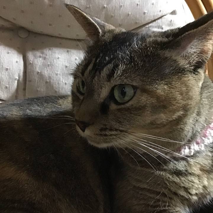 Efb62cf7 4361 4fb3 9dec 5b0cabaa7a57 1660822498913