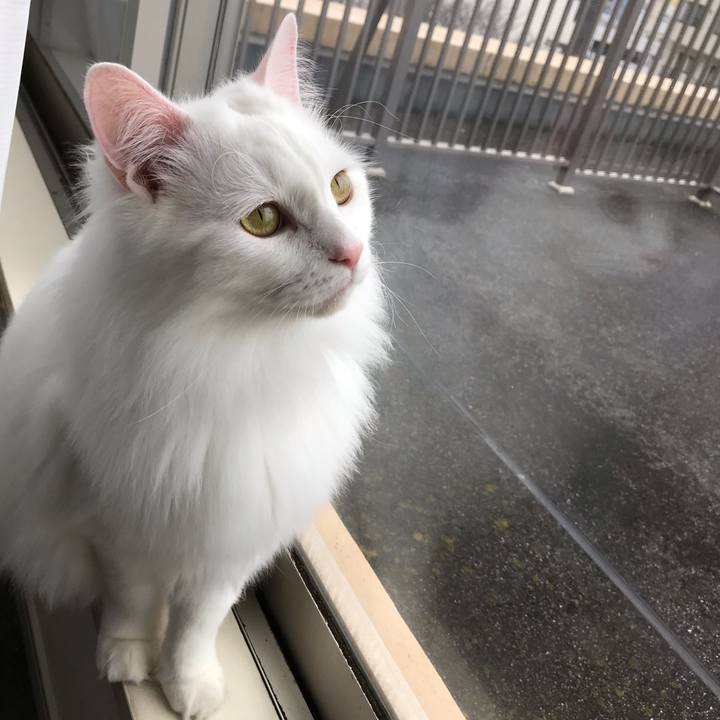 Efb6b36f f0fa 4f1f 9876 1e93cbbd99f1 1549711941815