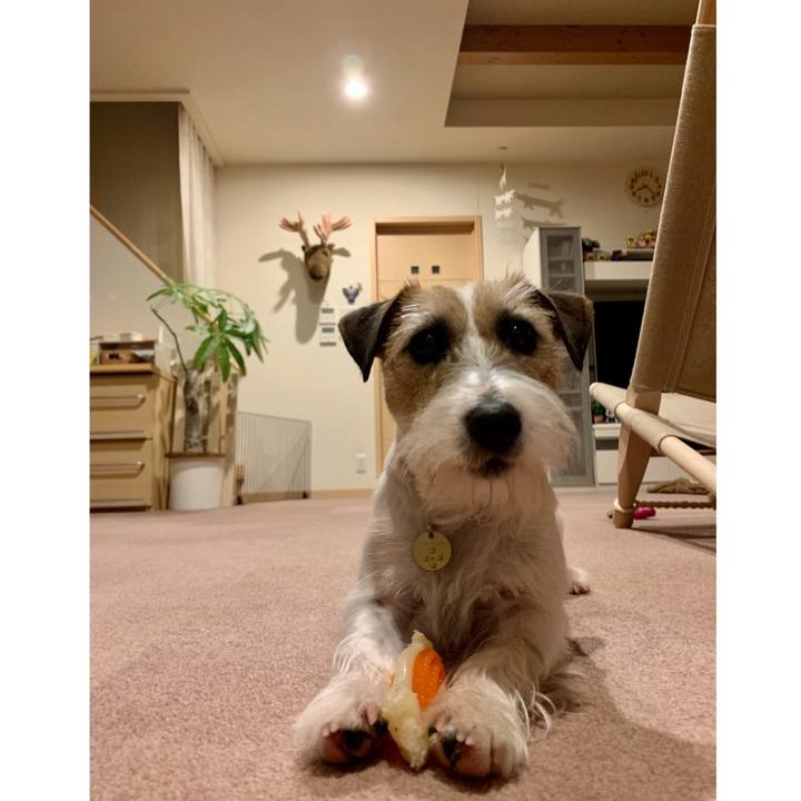 Efb6b6ae 0c0c 46dc a368 e90fa34c7504 1608727233722