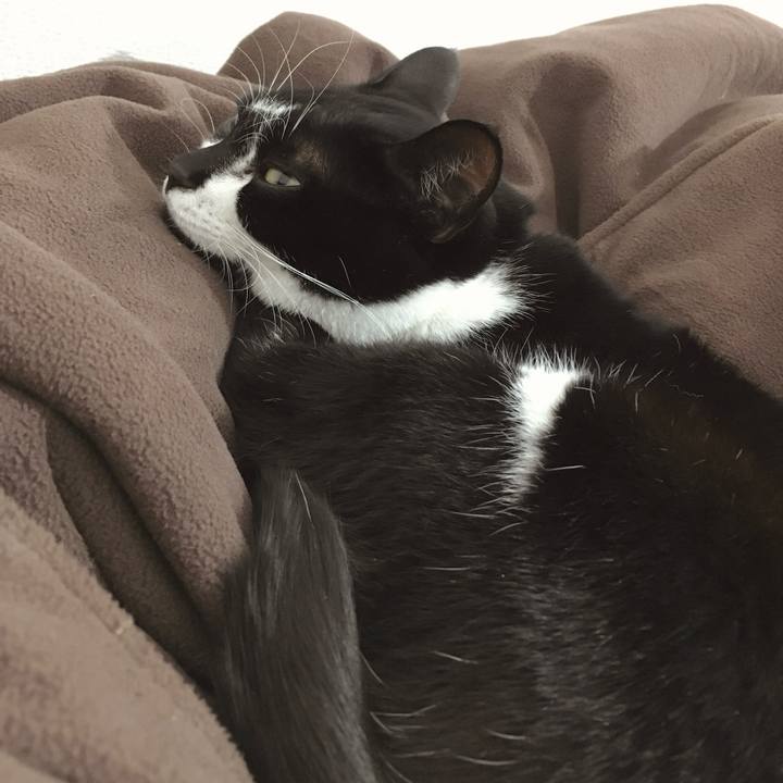 Efb6d36e 176f 4a17 a55d 6d72aee6b952 1758316197555