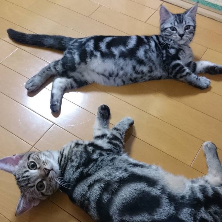 Efb73a03 18d1 45ca 87ec 1e9f6c299cef 1619085093386