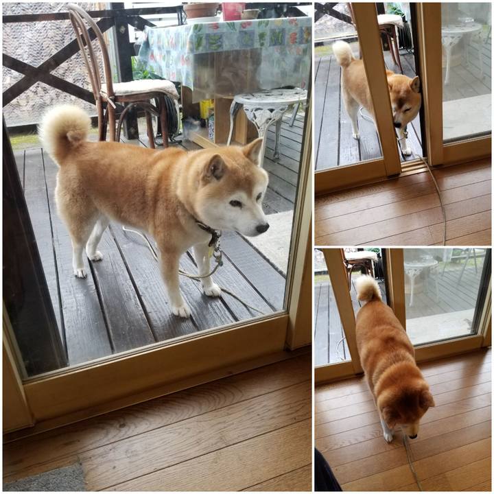 Efb73c35 9519 4b75 90d8 317a37fe651b 1655247506726