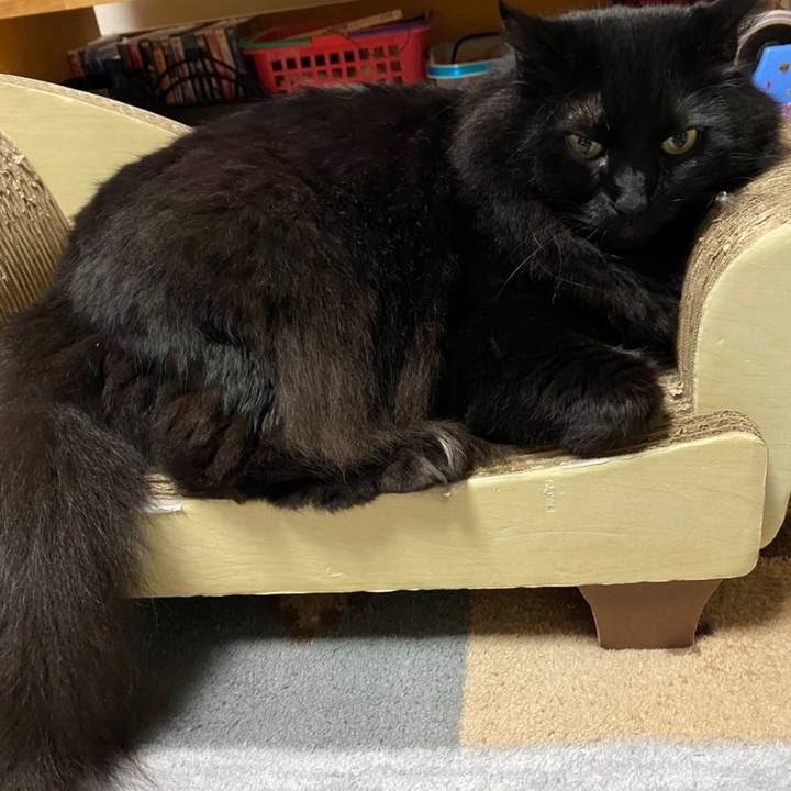 Efb75a07 f9fe 4619 af2c d6d9b1465193 1606826555172