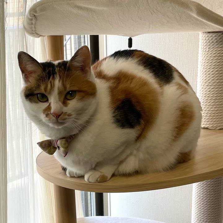 Efb75ce2 6add 466c a089 2c3061cb4ac6 1646264072043