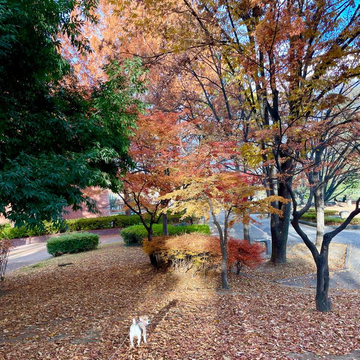 Efb7642a abf0 4657 8c5f 843b446d012b 1733394519254