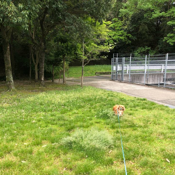 Efb77b2d 0283 4cb9 a754 3f3676848c29 1556503604254