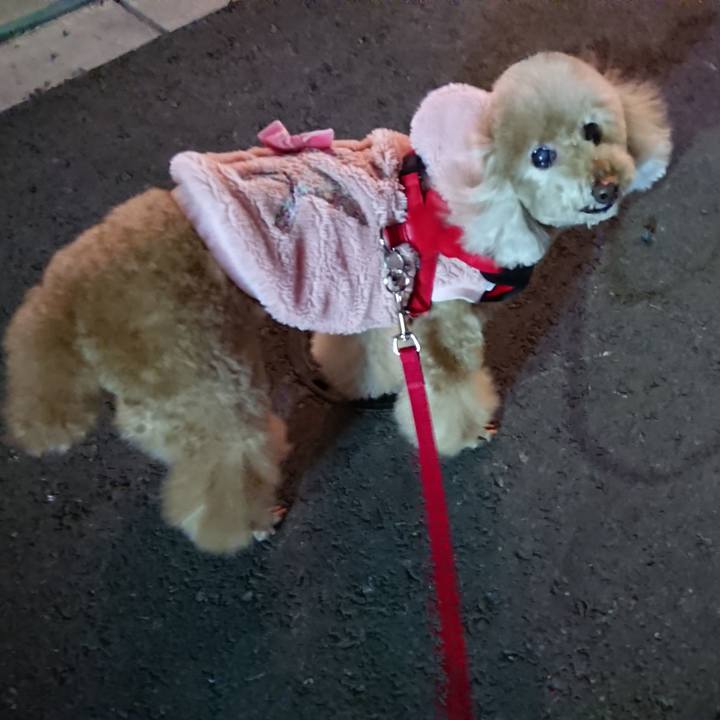 Efb77d7c b885 4c9c a640 1d758025d257 1577548393536