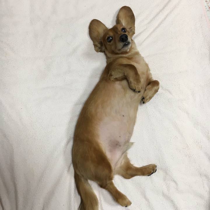 Efb79ef0 c637 4513 817f bba35cc25858 1577532327435