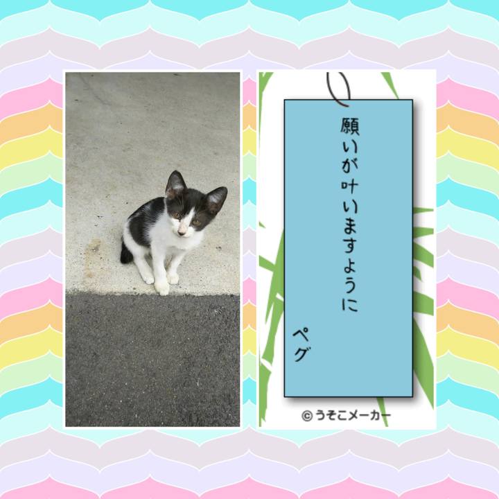 Efb7a8c0 9b11 4f72 aff6 d8a7cbdbea86 1530955865697