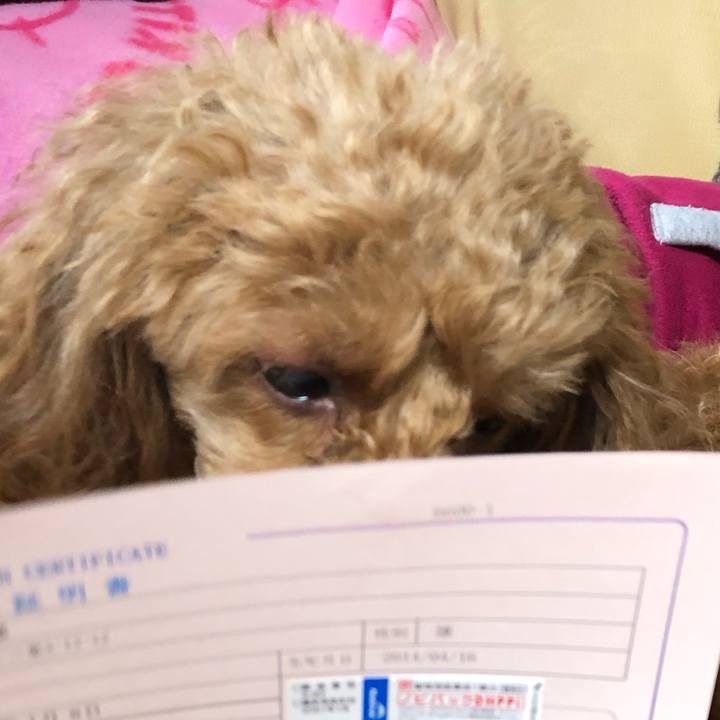 Efb7b9c1 f63d 45d0 86af ae9e2be3d09f 1578447102820