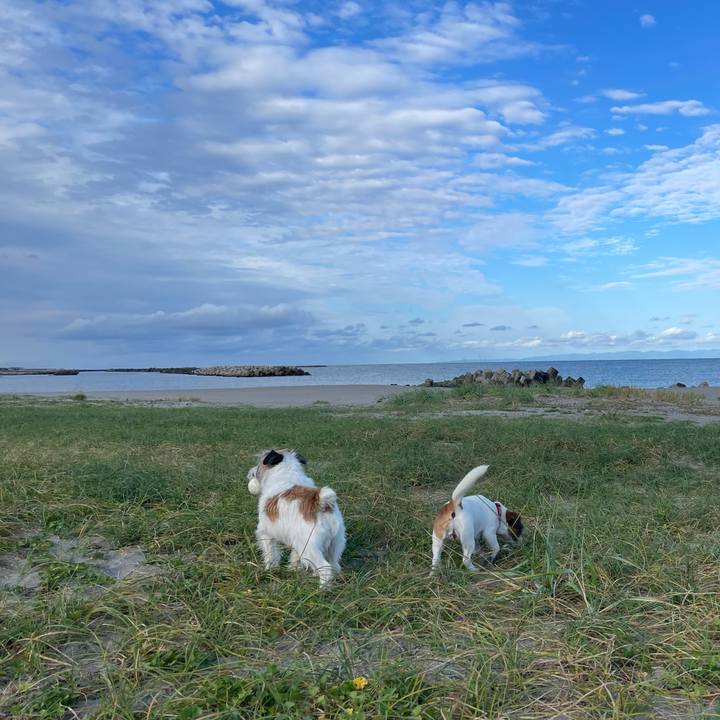 Efb7d7d4 e7cc 4b8e 8fe0 d435891a867f 1633742935961