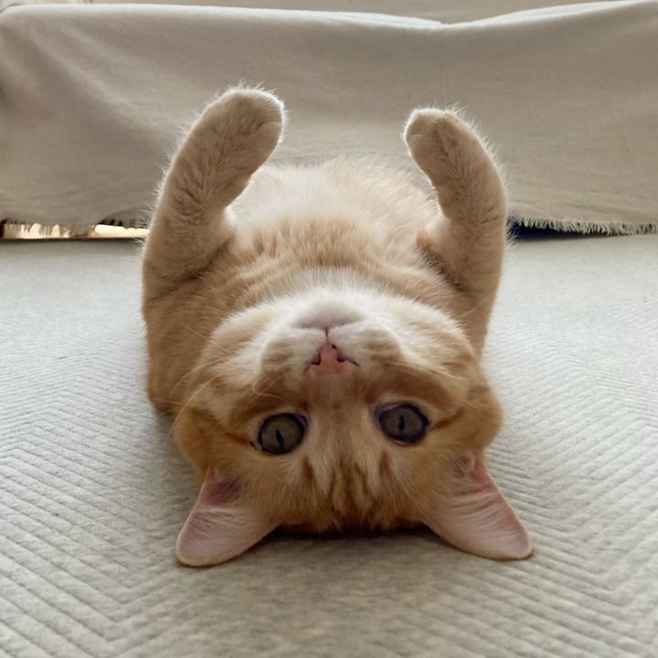 Efb7dd3b 2c2f 4c99 9e0d 73d29cb1a0eb 1773543655623