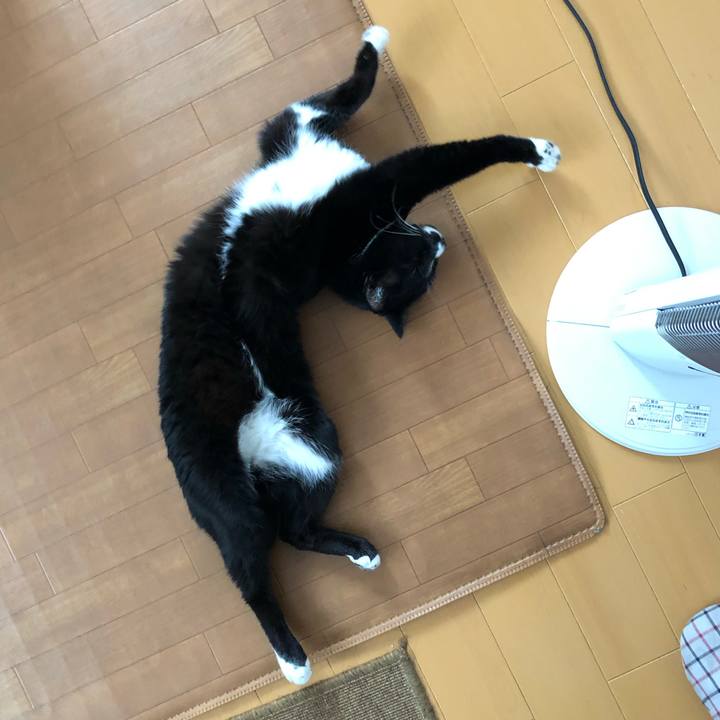 Efb80b50 0cd0 453f 9605 68c8d28551df 1618890624805