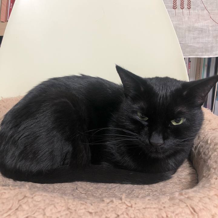 Efb81d1e 23a9 442a be6d e7df358114a7 1610450496352