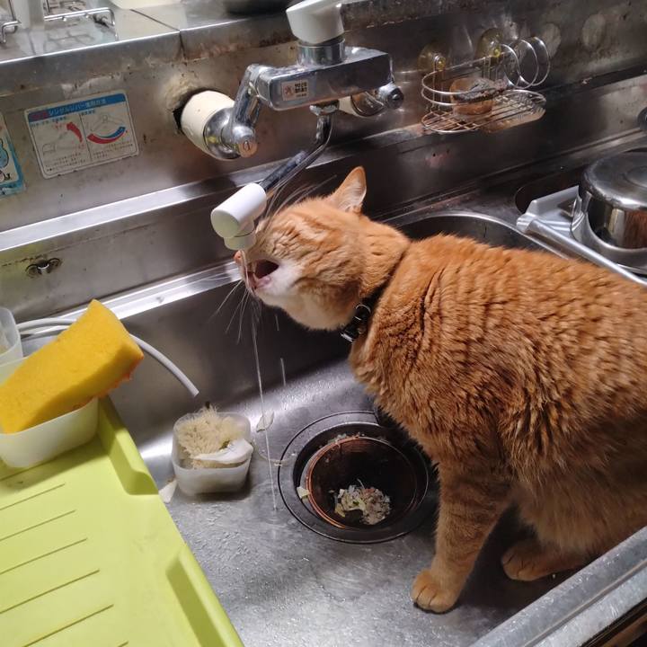 Efb81dea 0b65 4581 956c 60540a7869db 1705959483881