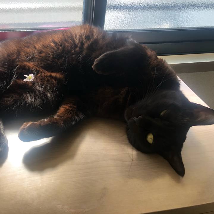 Efb81f46 53db 4de5 96e2 00a4c982b515 1614038565684