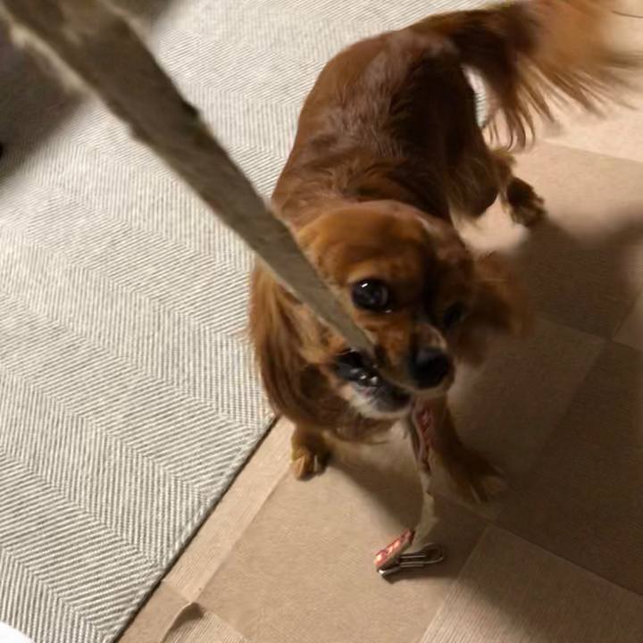 Efb82afb 457a 42b2 a1d4 14033b30eb99 1599566590072