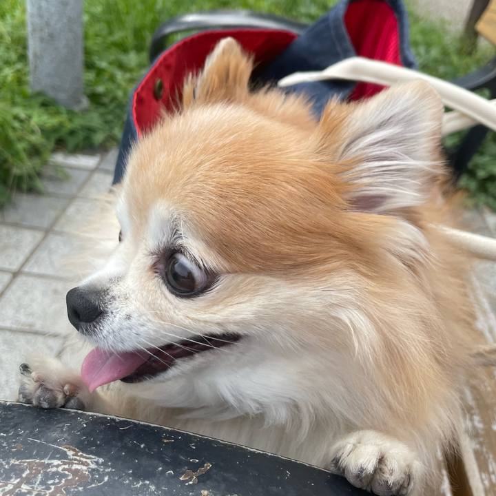 Efb859d0 ce73 4e3c 82a5 194636217994 1758548382955