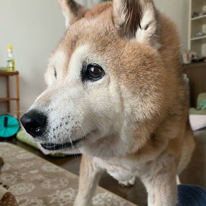 Efb8c2c9 3662 4e98 b4eb cdf8e00ab011 1670722140032