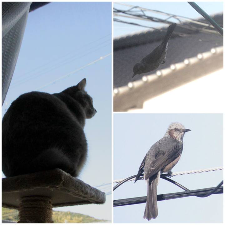 Efb8ea3c 235a 4596 b6eb 5e11c87ababf 1573862873528