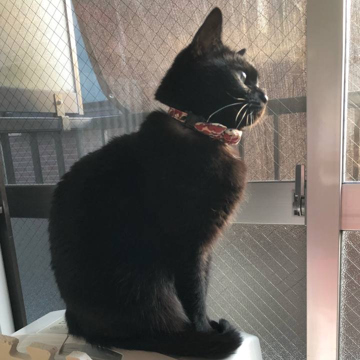 Efb91cce a56d 4c87 b516 ebef5842994f 1604442688711