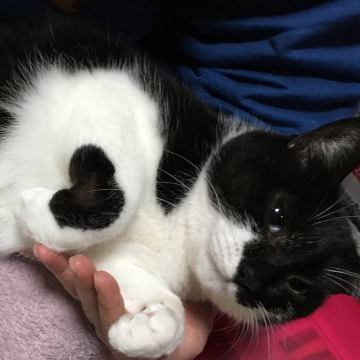 Efb91f51 2918 4a1e 82c9 f4886c55a550 1514729437623