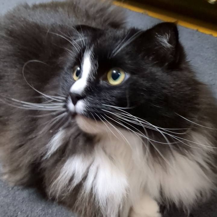 Efb933fb 9601 49fa a6ca cab0314edb11 1684412507440