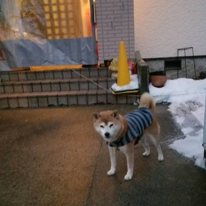 Efb94bd5 3513 446b b773 fcc83c97f46b 1581151192948