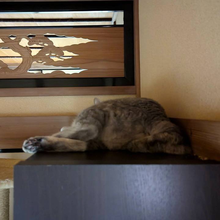 Efb97113 f66b 478f ac1a 1e11bf1b53a0 1726741794538