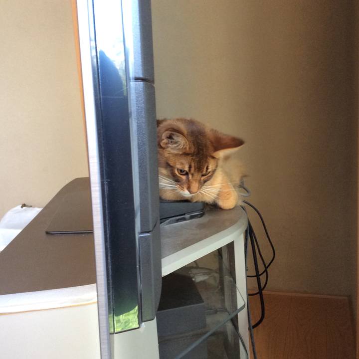 Efb9975c ffd8 463e 89e5 a5df739a7525 1588898175184