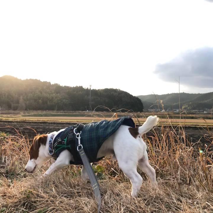 Efb9993c b321 486f 8232 a3184f68075f 1548153094449