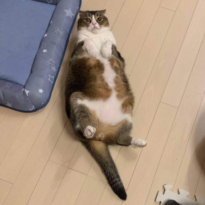 Efb9a490 ede1 4505 9d04 07cb5c02275f 1593437869502