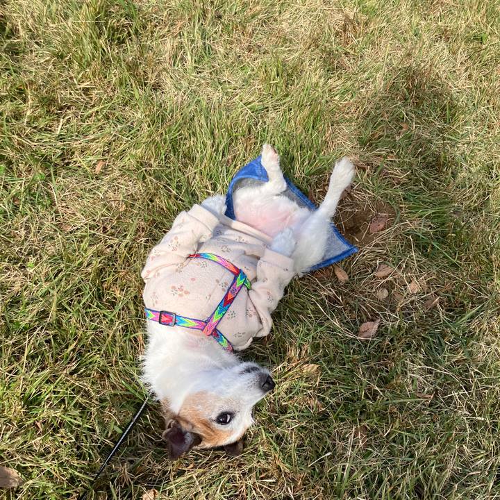 Efba1491 d140 4b86 9cc7 2ce055f507b7 1731280848819