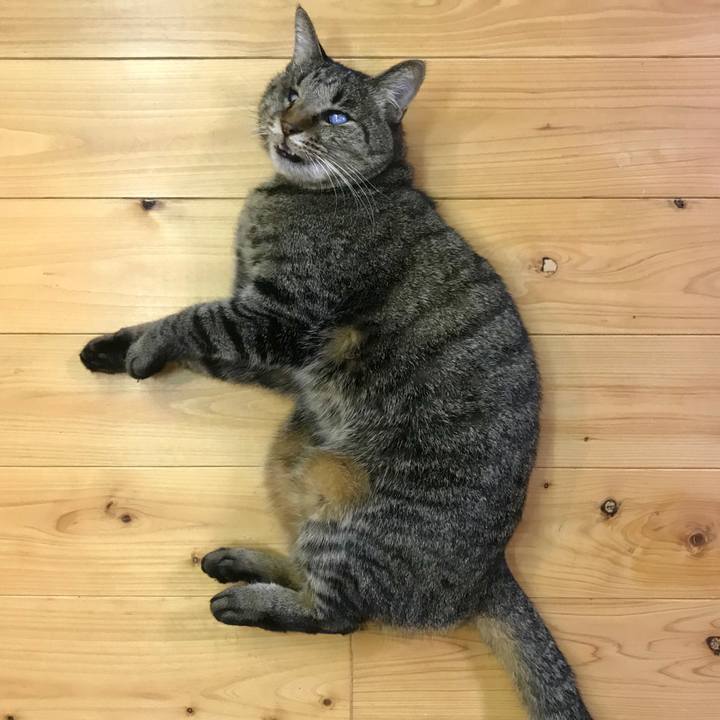 Efba4e68 52a5 4d8a a17c 3bfb222566af 1544229153271