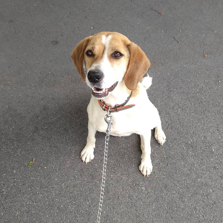 Efba625f 83cc 4eef 84fa 468f757994bb 1625465553148