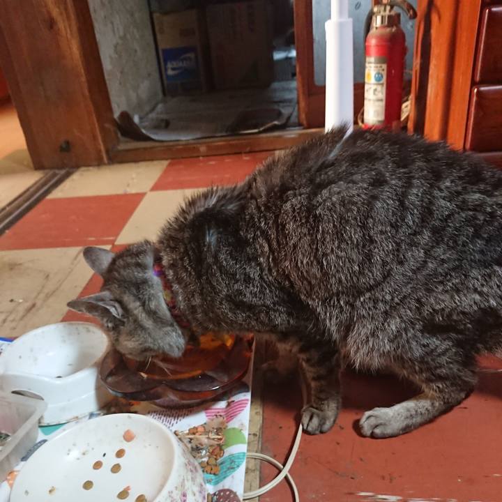 Efba68c9 db93 4d48 8b5a ff99fa408249 1592339041304