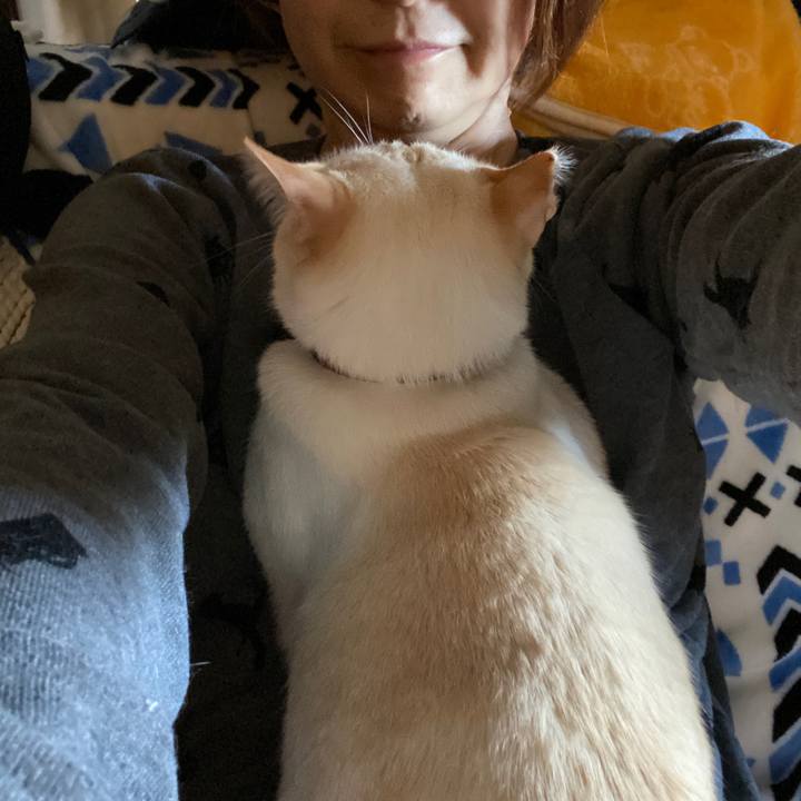 Efbaa314 3d30 4ceb 9096 70c610c4faef 1649173491890