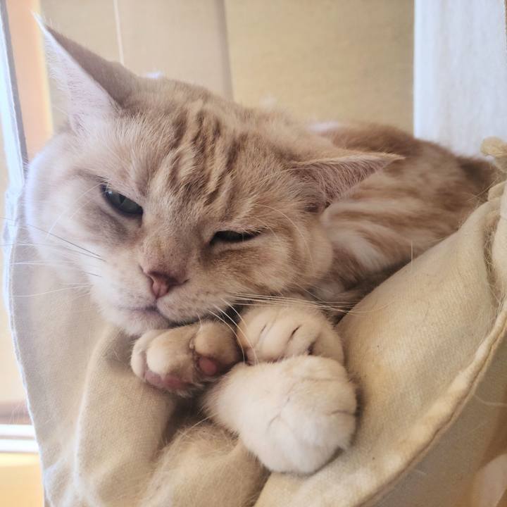 Efbaa7e5 67df 4476 8d6b cfd2bda84bc6 1669276014750