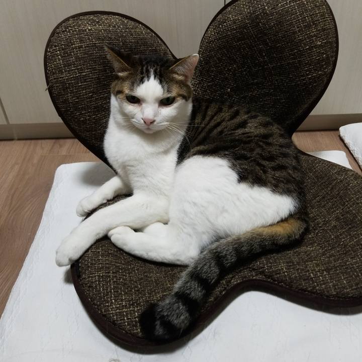 Efbaba0d 8811 45e8 94c8 a9e948a396ef 1586466511660