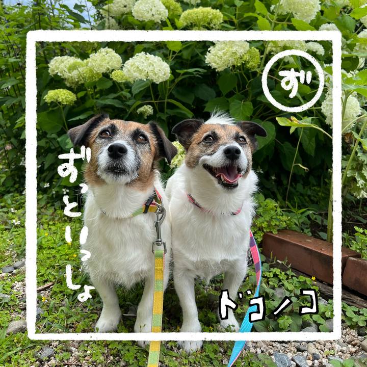 Efbaceeb 807c 4ff8 b3c2 035998b536ad 1685971813527