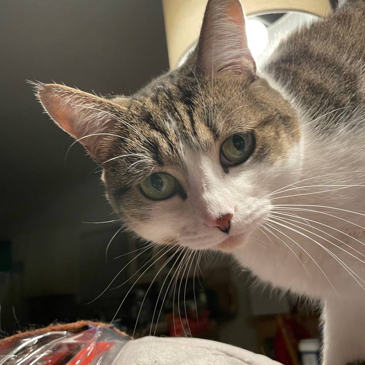 Efbae816 03ec 4b96 a3d6 20fd998e0757 1702859357322