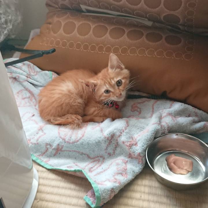 Efbaefd2 37a6 4a49 96bc be0bec135764 1628111588781