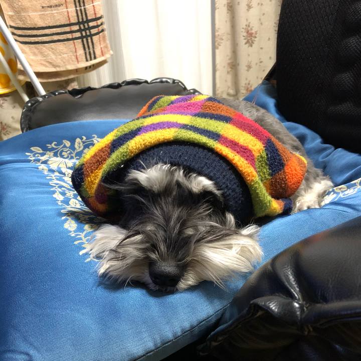 Efbaf2fa f4b0 4aa0 b957 5ed782464ec0 1518337873619