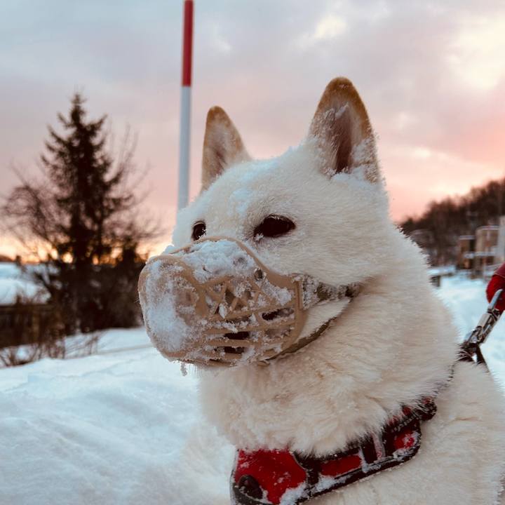 Efbb0eab b4b1 4bea b547 8e0c69f35810 1703457183273