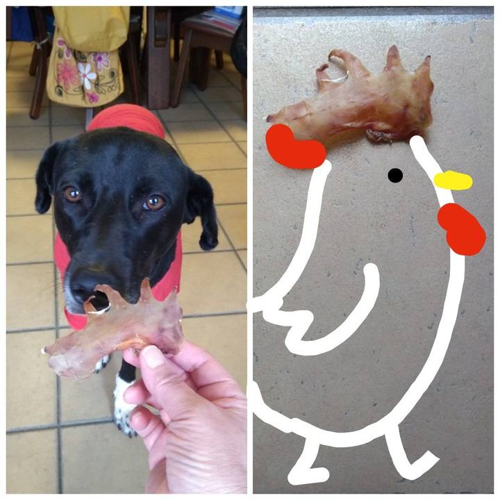 Efbb26ca 8b6a 4d42 8b66 f07e50d7eae1 1617447644265