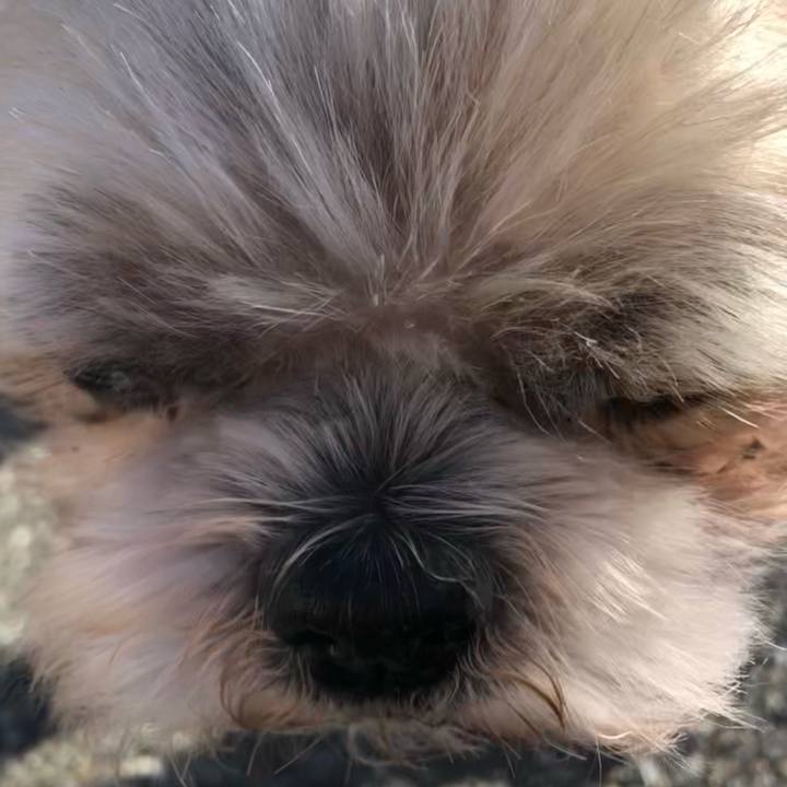 Efbb6a1a 758c 4e0c 9b6c f72703292706 1635551432244