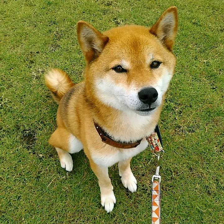 Efbb6f9c 65a3 412a 97ae 89f825b6e251 1562586764817