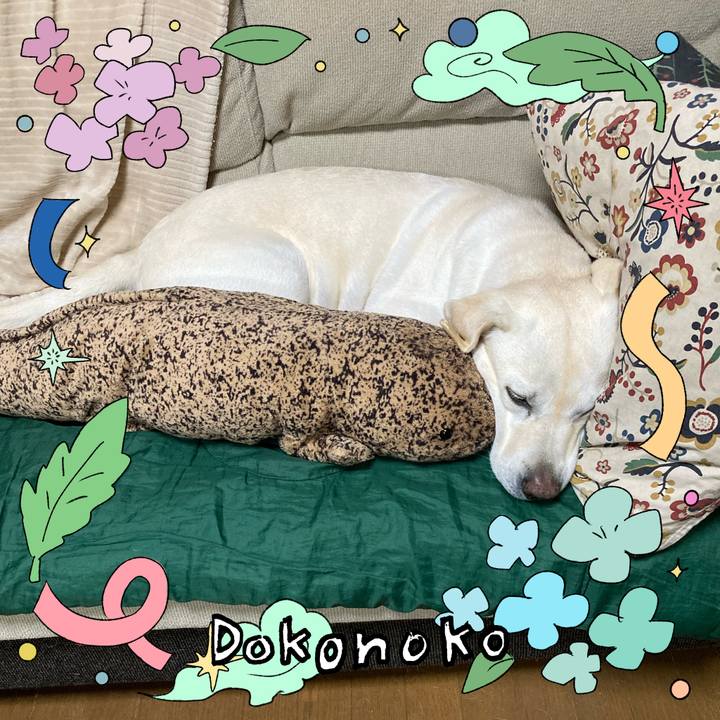 Efbb866a 088b 4617 b46c 2d5d7b23c893 1718108173773